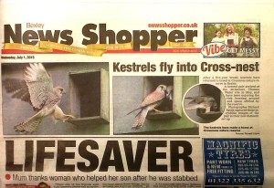 Kestrels are front page news in last week's 'Newsshopper'.