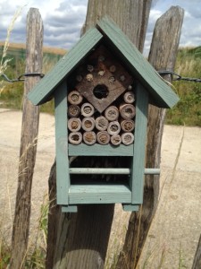 'Bug hotel' at Crossness (Photo: Karen Sutton)