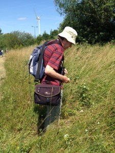 Martin Petchey, who does Bee transect counts at Crossness.