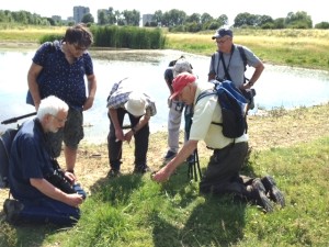 Rodney Burton explains the finer points of plant identification at the Southern Marsh wader scrape.