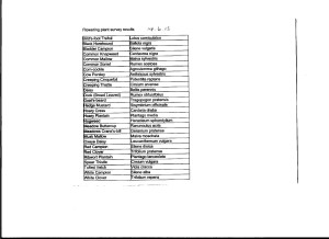 East Wickham Open Space plant survey results, June 14th 2015.