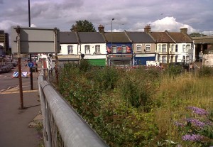 Former 'Harroew' pub site in Abbey Wood - a haven for wildlife amongst the grey of paving and concrete.