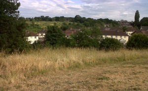 What price the Borough's open spaces as Bexley Council presses ahead with sell-off plans?