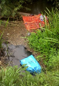 Some of the rubbish removed from the Cray by the volunteer team. (Photo: Chris Rose)