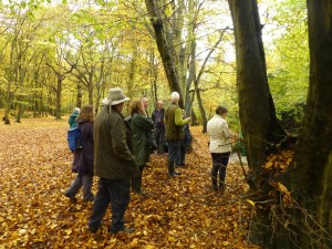 The group admiring autumn leaf colour in Bexley Woods (Photo: Brenda Todd) 