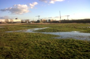 Open spaces are under threat from the relentless 'development' agenda of Bexley Council. 