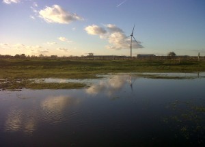 The big space, big skies feel of Erith Marshes has been eroded by the ring of grey sheds and other industrial facilities, whilst Bexley Council has so far failed to take the opportunity to enlarge the area and restore habitat when 'brownfield' has become available along its margin. (Photo: Chris Rose)