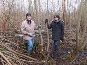 Ruxley By coppice 17th Jan 2016