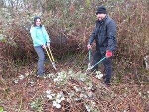 Ruxley Chopping bramble 17th Jan 201