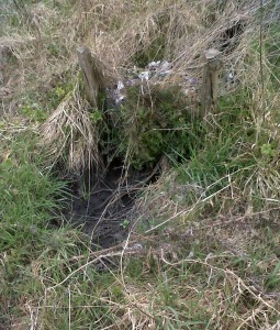 Oil leakage from the Mark 1 trap can be seen in this view. (Photo: Chris Rose)