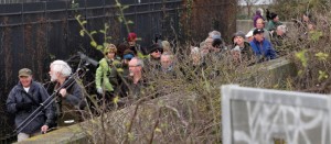 Attendees throng the sea wall to watch birds on the Thames foreshore (Martin Petchey)