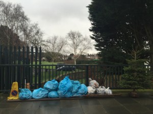 The 'fruits' of the clean-up effort even included a discarded Christmas tree .......