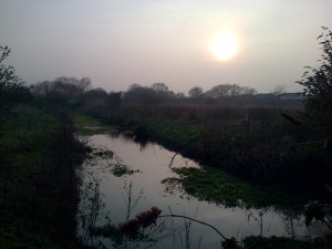 The River Wansunt at Thames Road Wetland is a haunt of Herons, and in winter, Teal. (Photo: Chris Rose) 