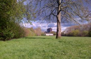 Half of Old Farm Park in Sidcup is for the chop after Bexley Council approved the sell-off proposal. (Photo: Chris Rose)