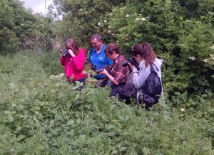 Hall Place hiders (left to right) Lisa and Martin Burke, Jean Bufton and Donna Zimmer photographing insects at Thames Road Wetland (Photo: Chris Rose)