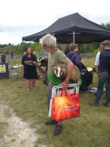 Braeburn Site Manager Shaun Marriott carries a couple of old stuffed Badgers to the Badger Group's stand. (Photo: Chris Rose)