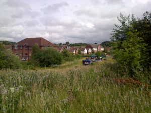 The reserve surrounds a modern housing estate. (Photo: Chris Rose)