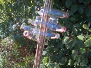 Harvest Mouse monitoring tubes , bundled together for transportation, await installation at Thames Road Wetland. (Photo: Chris Rose) 