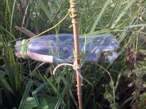 Closer view of Mk2 Harvest Mouse monitoring tube, yet to be baited with bird seed, showing attachment to cane, rear 'escape hatch' and raised lip to stop food being shaken out in the wind. (Photo: Chris Rose) 